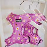 Coco Couture Cute As Can Bee Harness