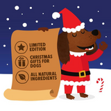 Denzel's Christmas Stocking Selection of Dog Treats 245g