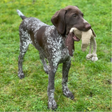 Desmond the Duck Eco Dog Toy