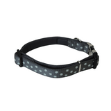 Doodlebone Padded Dog Collar