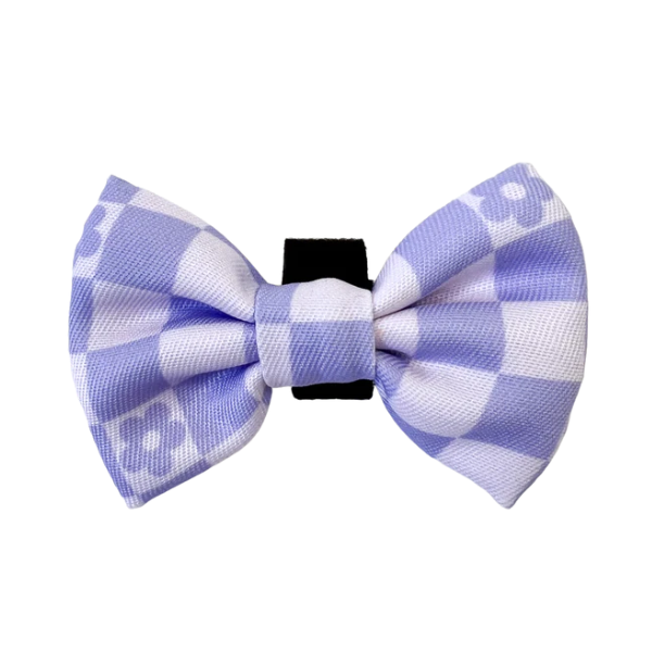 Pawsome Paws Happy Trails Bow Tie - Flower Check