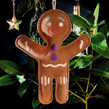 Jean Genie the Gingerbread Person, Eco Toy