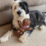 Jean Genie the Gingerbread Person, Eco Toy