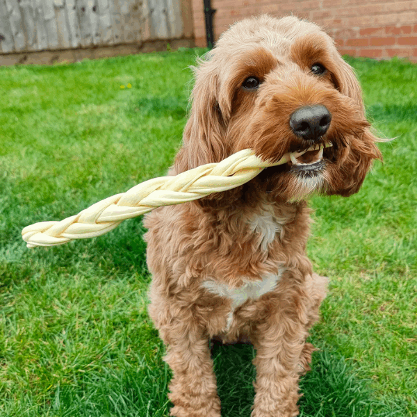 Braided Lamb Dog Chew 30cm - Underdog Pets
