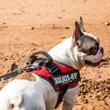 Julius-K9 IDC® Powerharness - Underdog Pets
