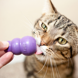 Kong Classic Kitty kong