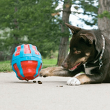KONG Spinner Refillable Treat Dispenser Toy - Underdog Pets