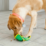 KONG Ballistic Hide 'N' Treat Dog Toy - Underdog Pets