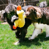 KONG Comfort Jumbo XL Dog Toy - Underdog Pets