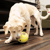 KONG Rewards Dispenser Tennis Ball Small
