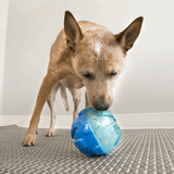 KONG Rewards Ball Treat Dispenser Dog Toy - Underdog Pets