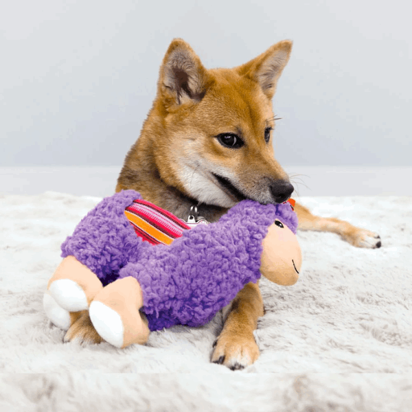 KONG Sherps Llama Dog Toy - Underdog Pets