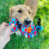 Kong Signature Dynos Dog Toy Medium