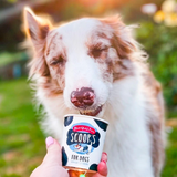 Scoop's Ice Cream for Dogs