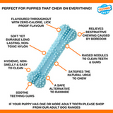 Nylabone Puppy Teething Bone Chicken XSmall