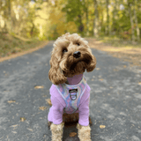 Pawsome Paws Boutique Adjustable Pastel Swirl Harness