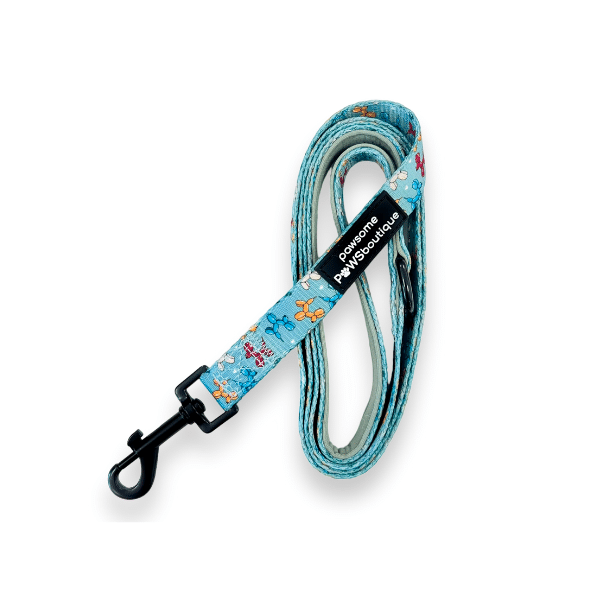 Pawsome Paws Boutique Party Animal Teal Lead