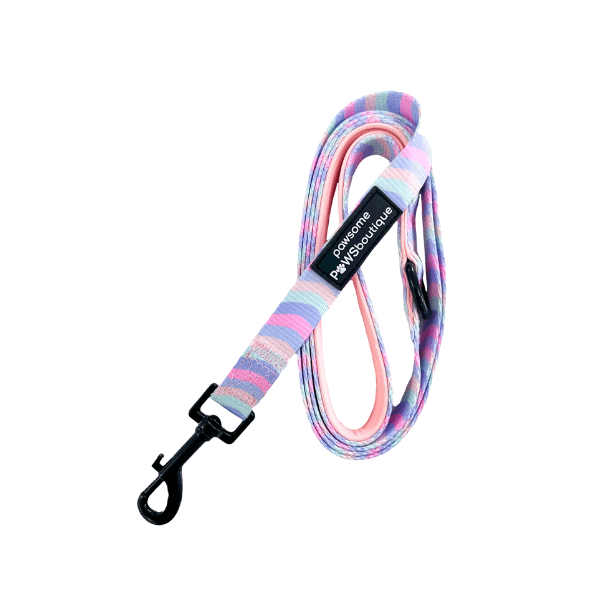 Pawsome Paws Boutique Pastel Swirl Lead