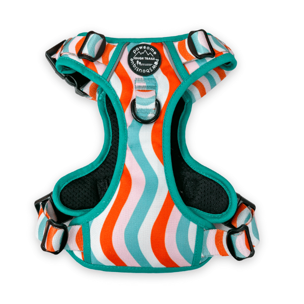 Pawsome Paws Boutique Tough Trails Peppermint Swirl Harness