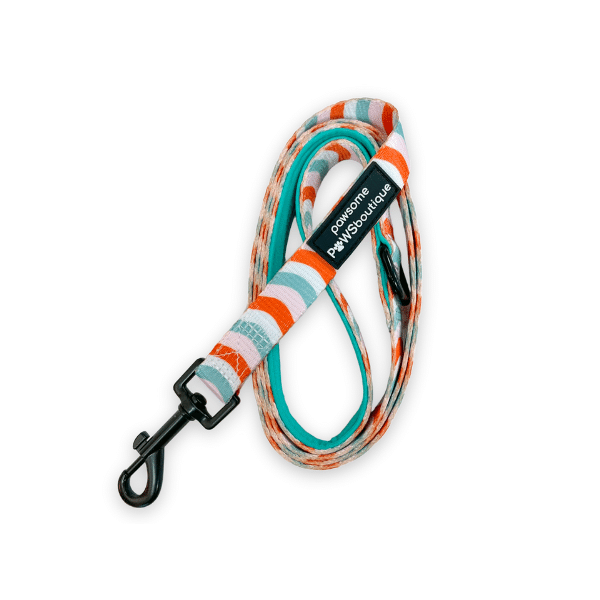 Pawsome Paws Boutique Peppermint Swirl Lead