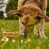 Petello Yak Cheese with Peanut Butter Dog Chew