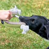 Push Me, Pull Me Ring Eco Dog Toy