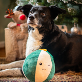 Rosewood Christmas Blizten Bauble Toy