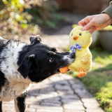 Rosewood Bunny & Boop Chirpy Chick Easter Soft Dog Toy