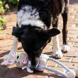 Rosewood Easter Ralphie Rabbit Dog Toy