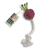 Ruby the Raddish Eco Dog Toy