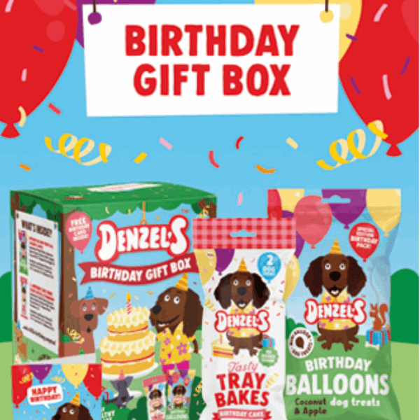 Denzel's Birthday Gift Box for Dogs - Underdog Pets