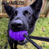 Ancol Dog Toy Jawables Grenade Purple