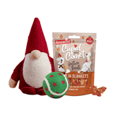 Christmas Dog Gift Box