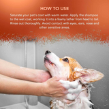 Wahl Dirty Beastie Dog Shampoo - Underdog Pets