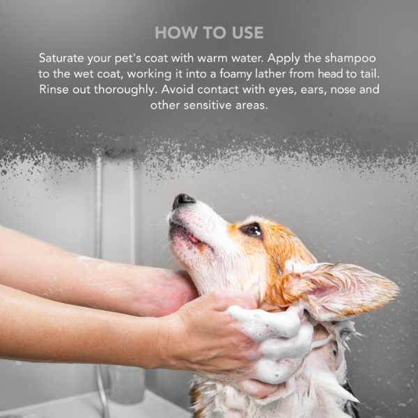 Wahl Dog Shampoo Oatmeal Essense - Underdog Pets