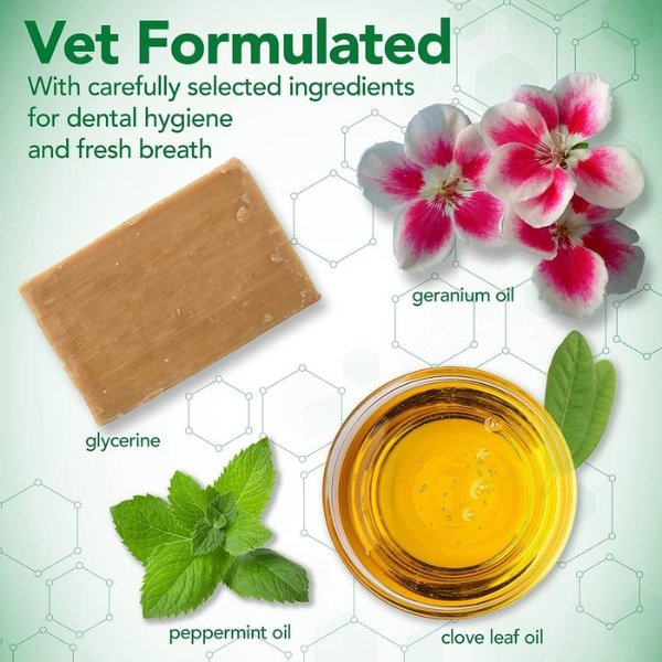 Dental foam for dogs online