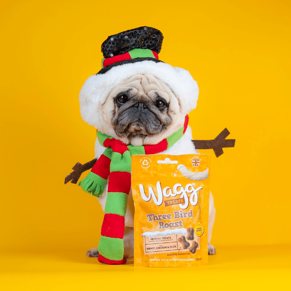 Wagg Christmas Three Bird Roast Dog Treats