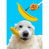 Wufwuf Bana-nom Fun Dog Toy – Interactive Treat Dispenser - Underdog Pets
