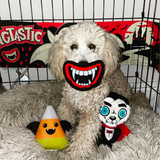 Wufwuf Vampy Candy Plush Dog Toy - Underdog Pets
