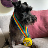 Wufwuf Medal Plush Dog Toy - Underdog Pets