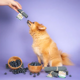 Yakers Superfood Blueberry Chew