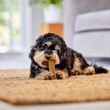 Yakers Dog Treat Chew Turmeric