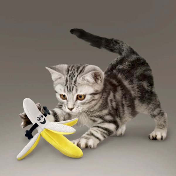 KONG Better Buzz Banana Cat Toy