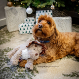 Rosewood Cupid & Comet Dasher Dino Festive Plush Dog Toy