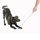 Coachi Target Stick Blue - Underdog Pets