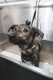 Bath & Dry - Underdog Pets