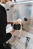Bath & Dry - Underdog Pets
