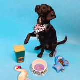 Emily Brooks Flamingo Dog Toy - Underdog Pets