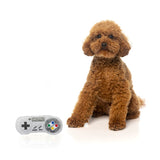 Superdogtendo Controller Dog Toy - Underdog Pets