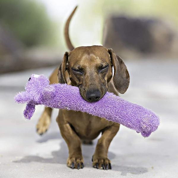 Happy Pet Supersoft Loofa Dog Toy - Underdog Pets